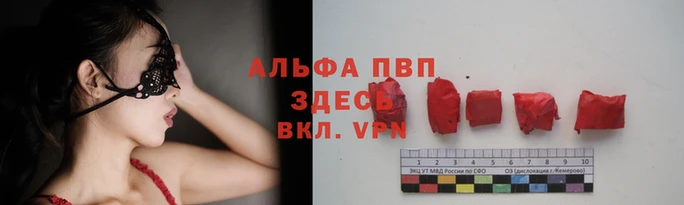 СК Абдулино